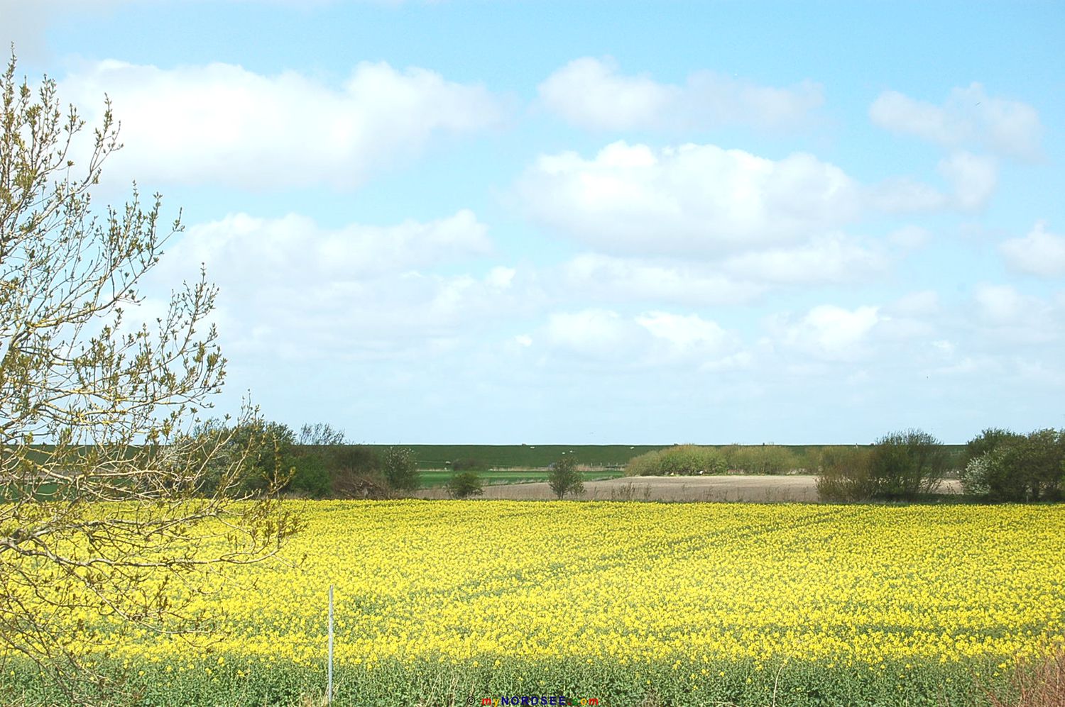 Ferienhof Jans Ferienwohnung Strandräuber